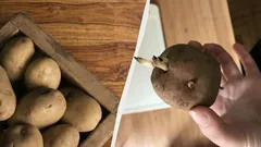 Aardappelen lopen zes maanden niet uit en verschrompelen niet – zo bewaar je ze goed